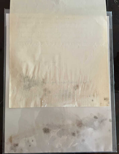 Mold on Stiffener and Letter as Returned by Frsteam after 'Freeze Drying"
